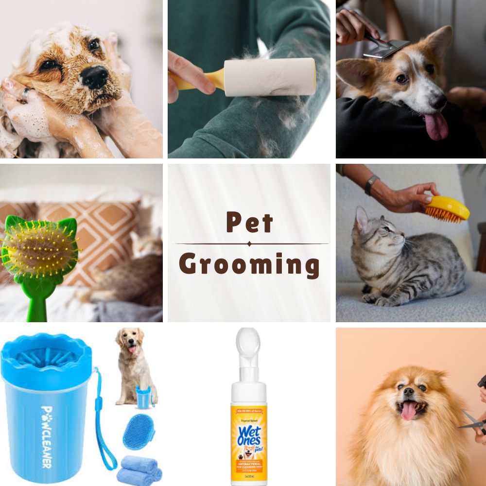 Pet Grooming