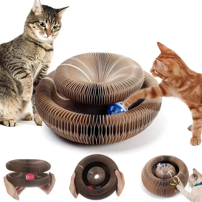 Magic Organ Cat Scratcher – Round Corrugated Scratch Toy for Claw Care & Play