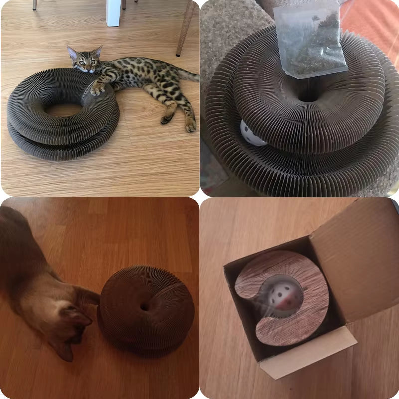 Magic Organ Cat Scratcher – Round Corrugated Scratch Toy for Claw Care & Play